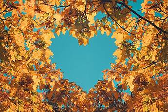 Herbst, Herz, Laub, Blätter
